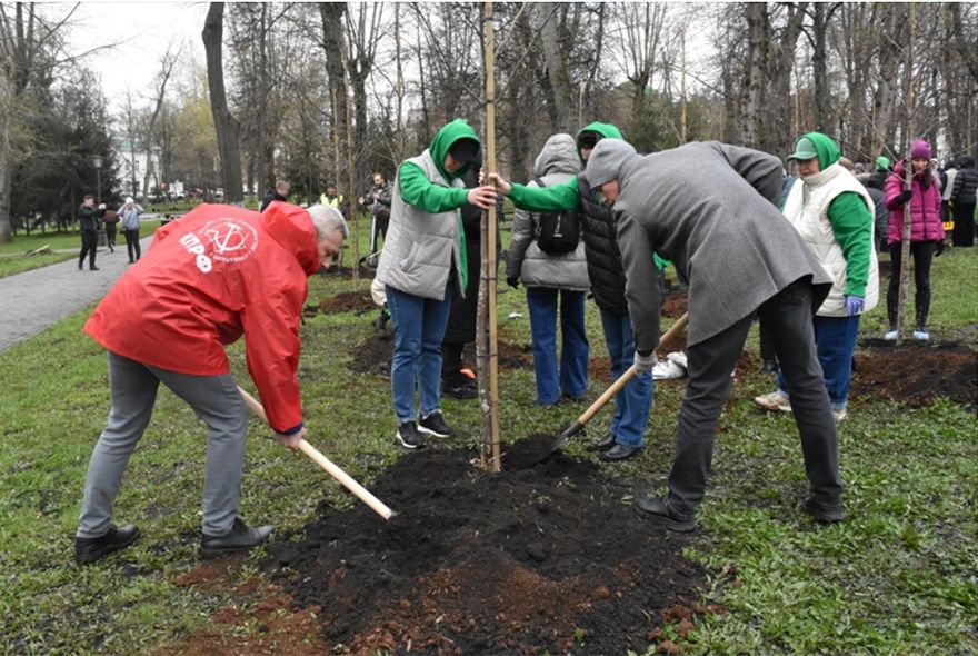 Пензенские депутаты посадили липы, рябины, ели и кедры