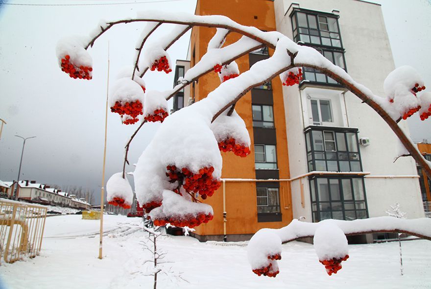 В Пензе проходит месячник по благоустройству