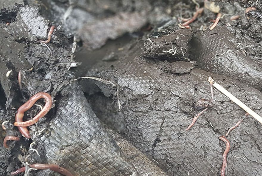 Тихая работа