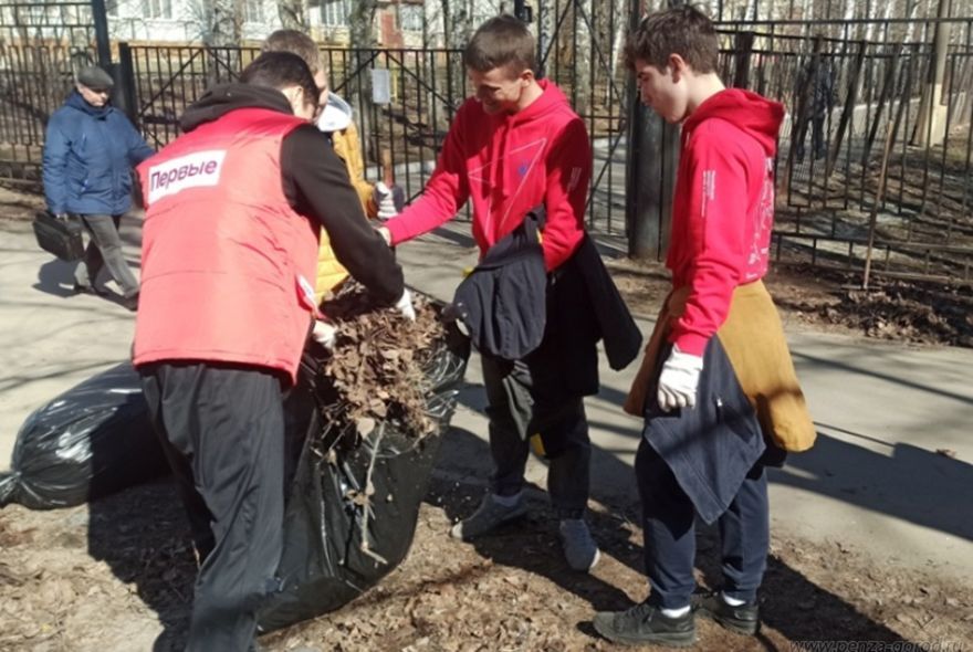 В Пензе на аллее 45-летия Победы стало чисто