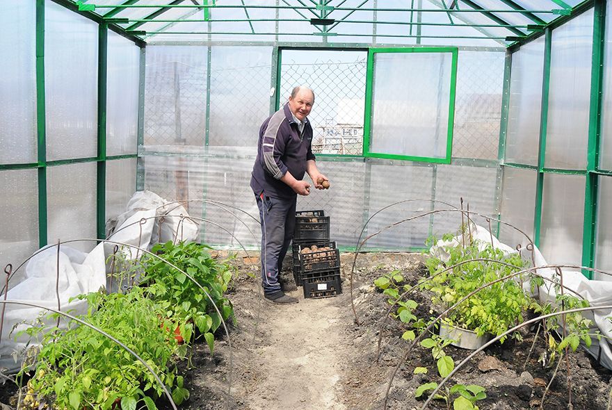 Теплица в ожидании 