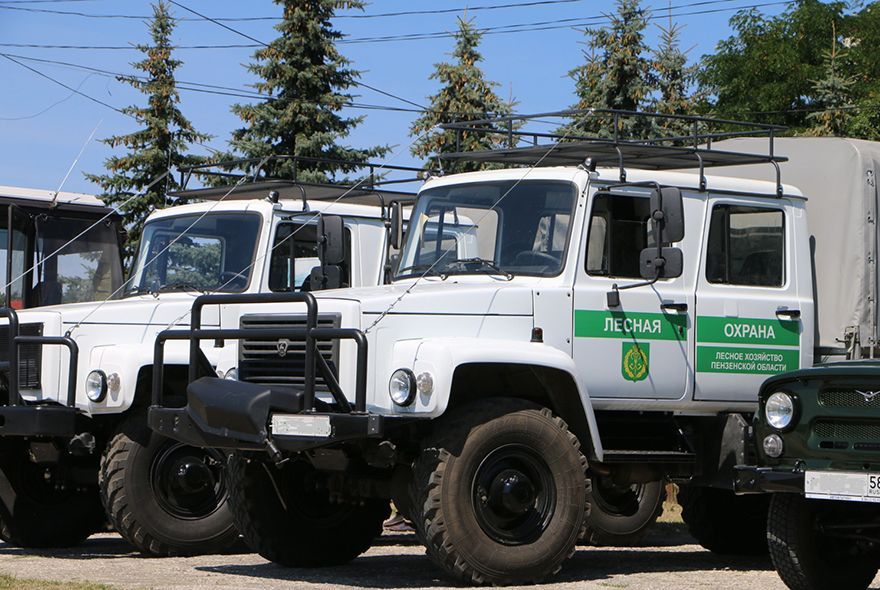 В пензенских лесах объявлен пожароопасный сезон