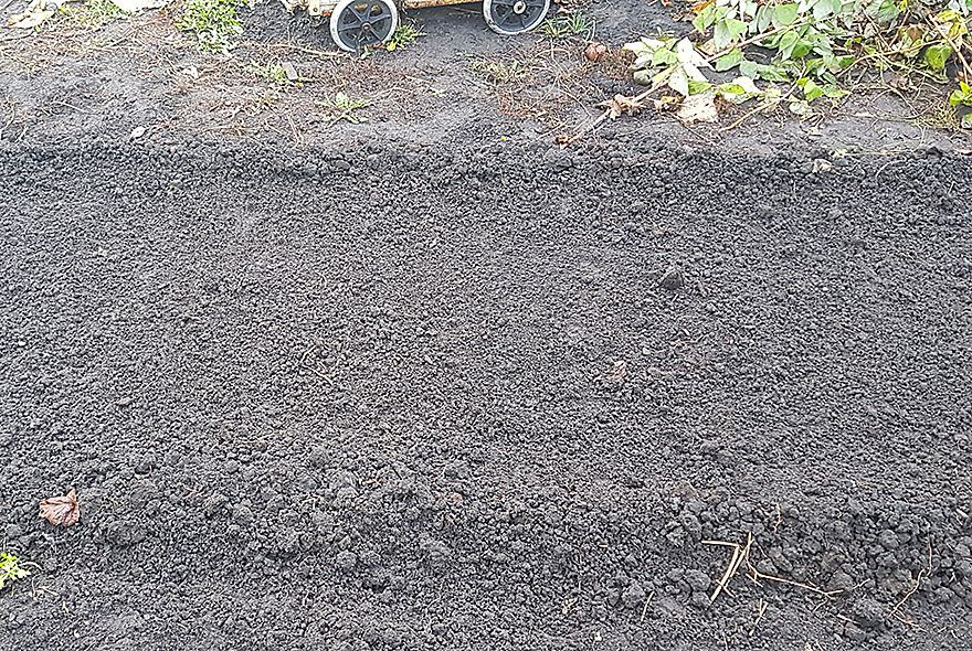 Секрет дружных всходов