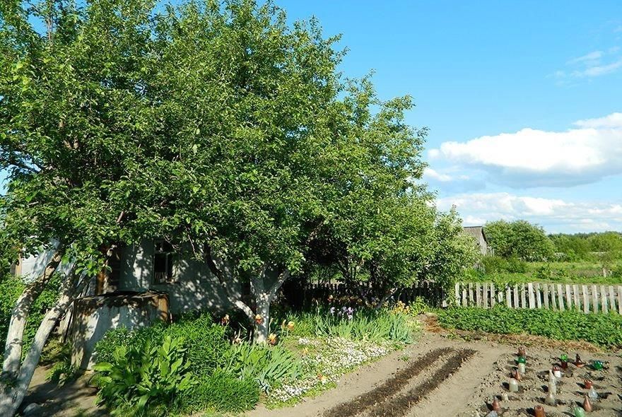 Дачный сезон в Пензе 2026