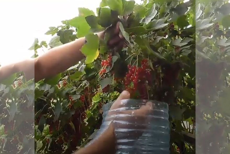 Уборочный «комбайн» из бутылки