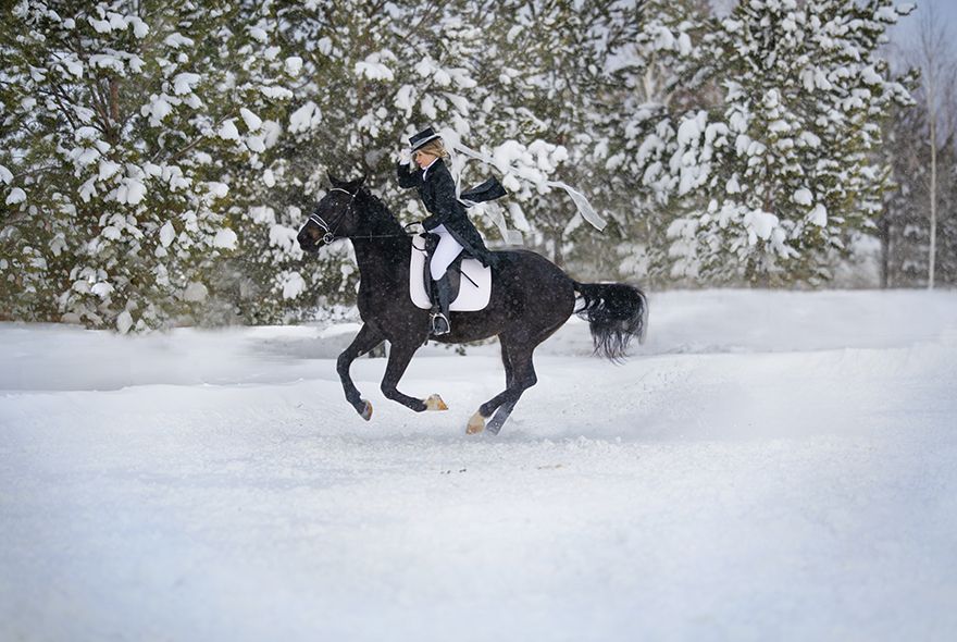Год Красной Лошади: скачка за удачей