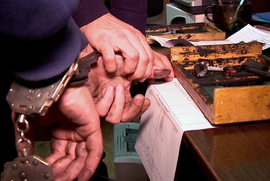 Житель Пензы спилил дуб для растопки бани