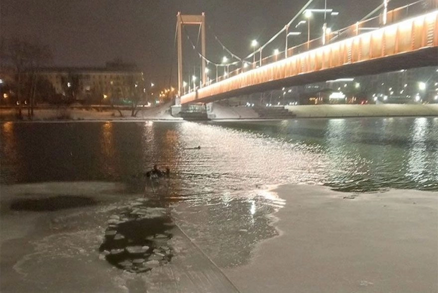 В Пензе спасли тонущего