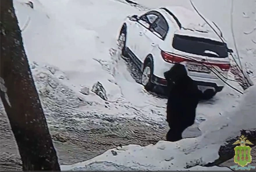 В Пензе из торгового центра похитили миллион рублей