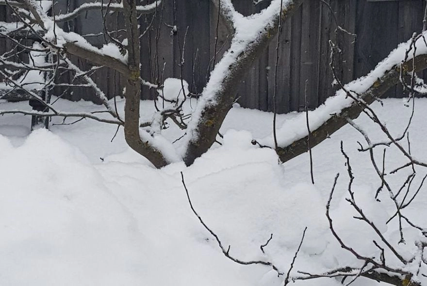 Коварный февраль