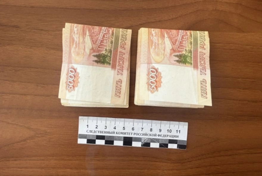 Дело Фейгиной передано в суд