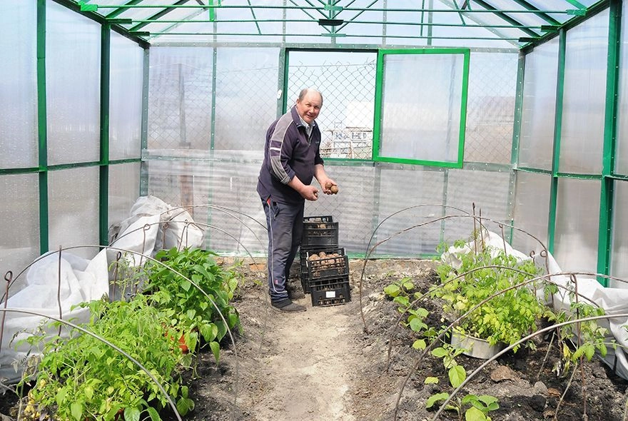 Теплица в ожидании 