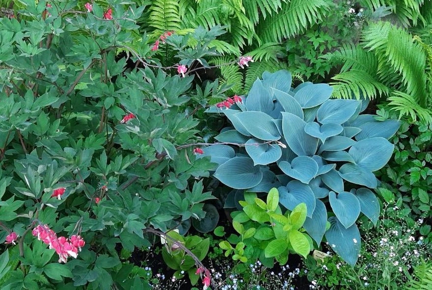 В Пензе планируют создать 36 новых цветников