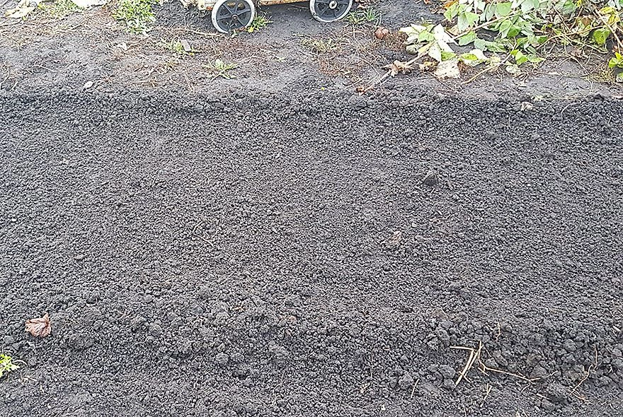 Секрет дружных всходов