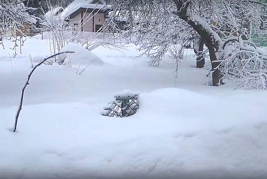 Подсказки уснувшего сада