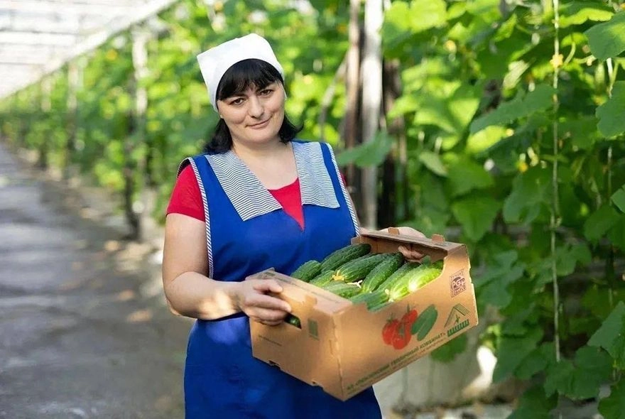 Инвестиции в теплицы: овощи к столу