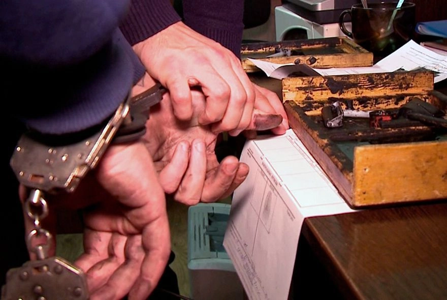 Житель Пензы спилил дуб для растопки бани