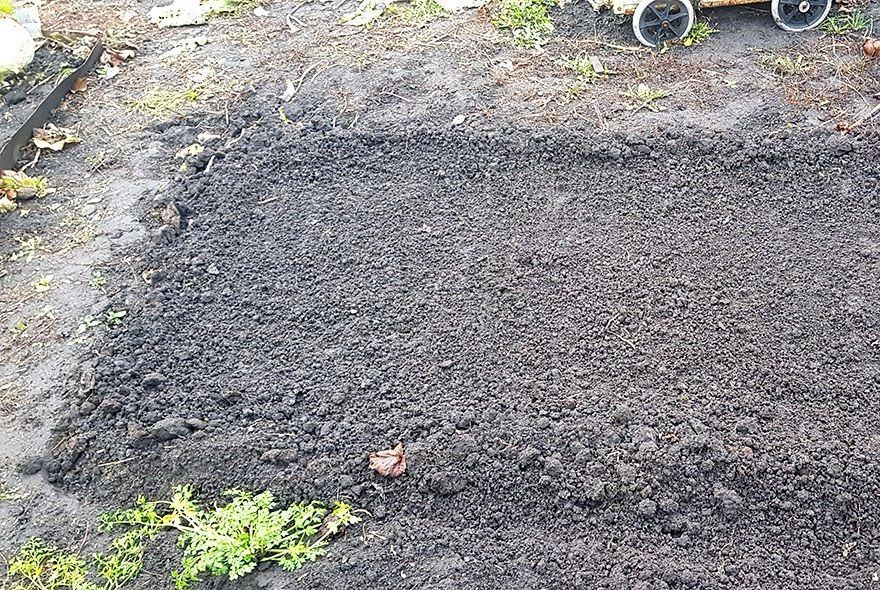 Поздний сев – ранний урожай