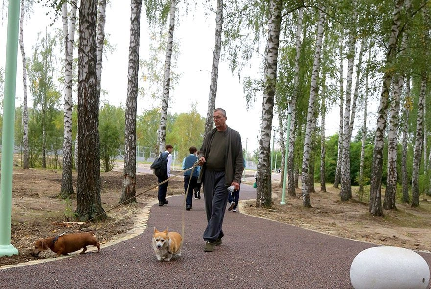 Клещи стали злее  