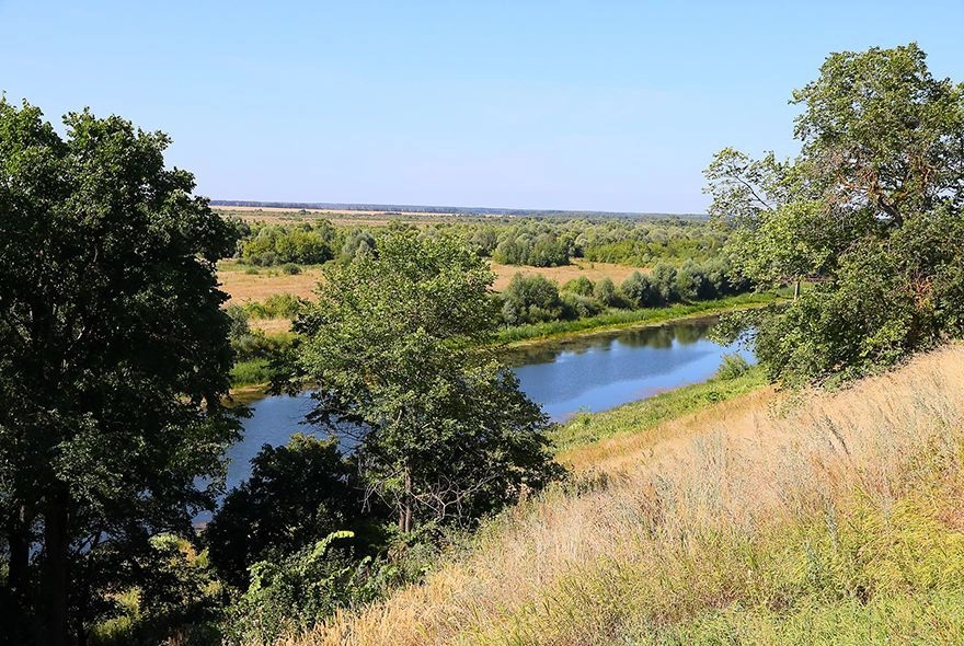 В пензенских лесах объявлен пожароопасный сезон